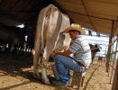 Son hombres de carne y hueso